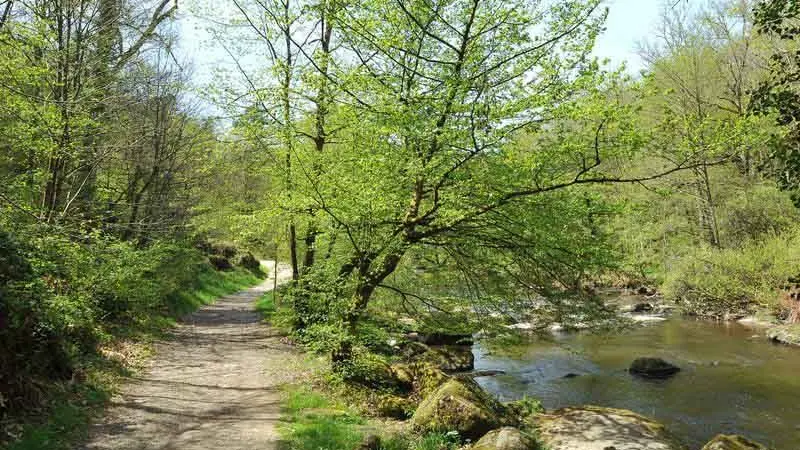 Sentier des Feutrières_2