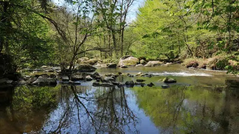 Sentier des Feutrières_3
