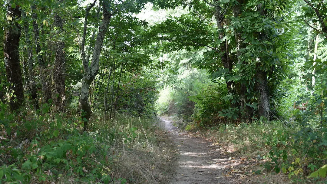 Sentier des Feutrières_4