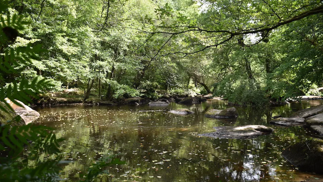 Sentier des Feutrières_5