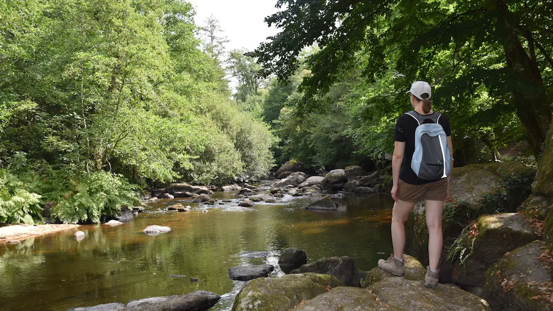 Sentier des Feutrières_6