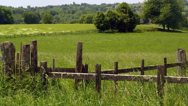 Circuit des mines d'or de la forêt de Champ Vert_1