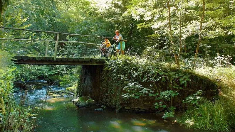 Circuit des mines d'or de la forêt de Champ Vert_4