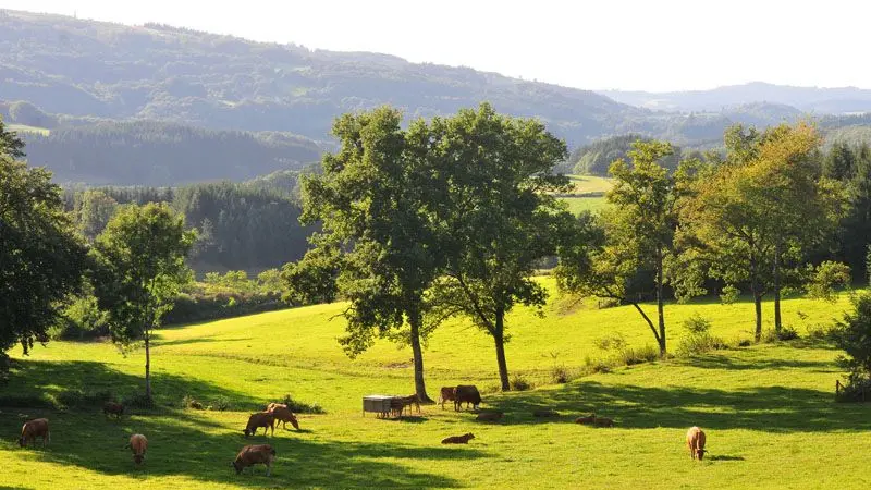 Circuit de Bonneval_3