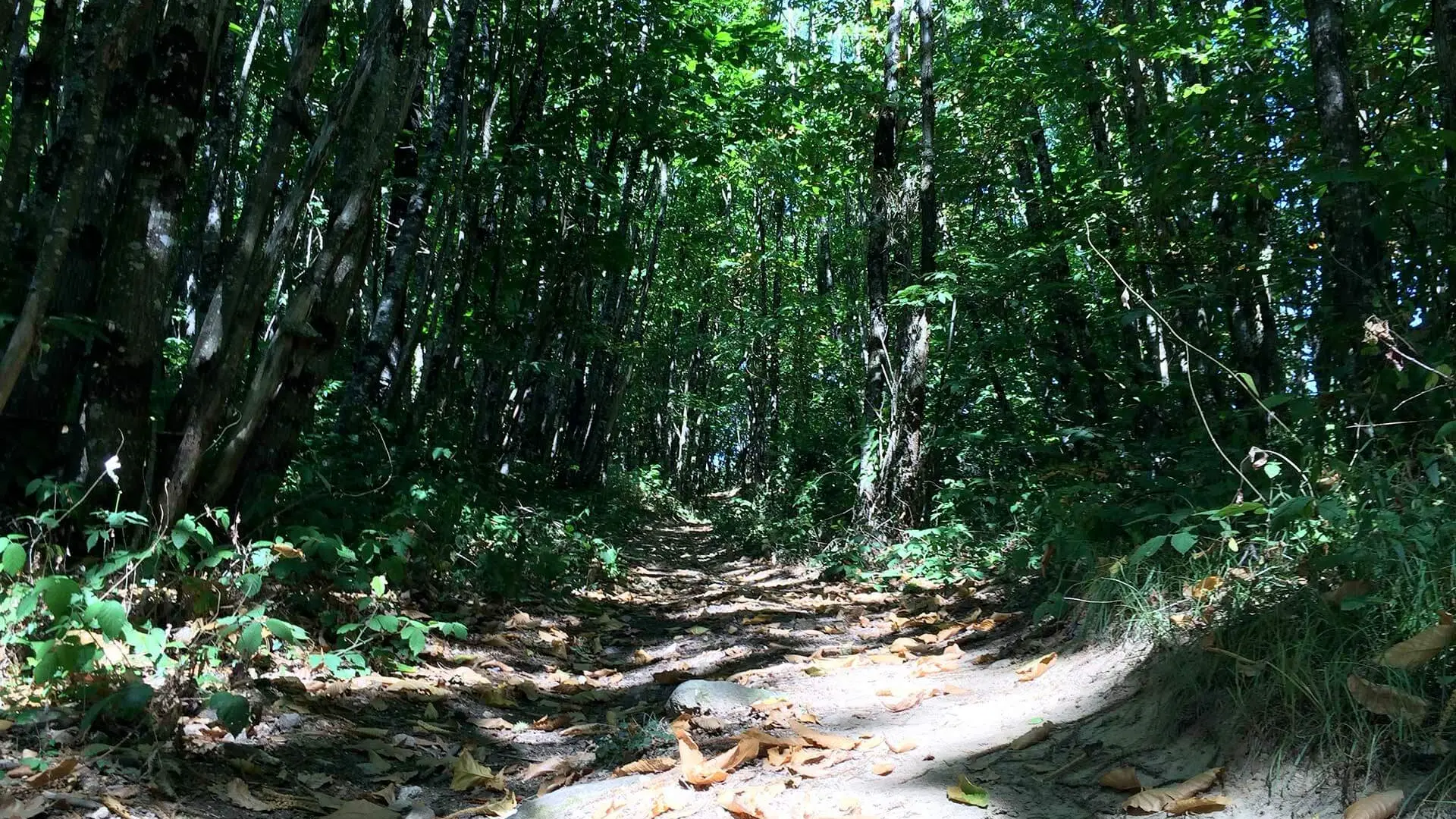 Sentier des Demoiselles BUSSIERE GALANT Haute-Vienne_3