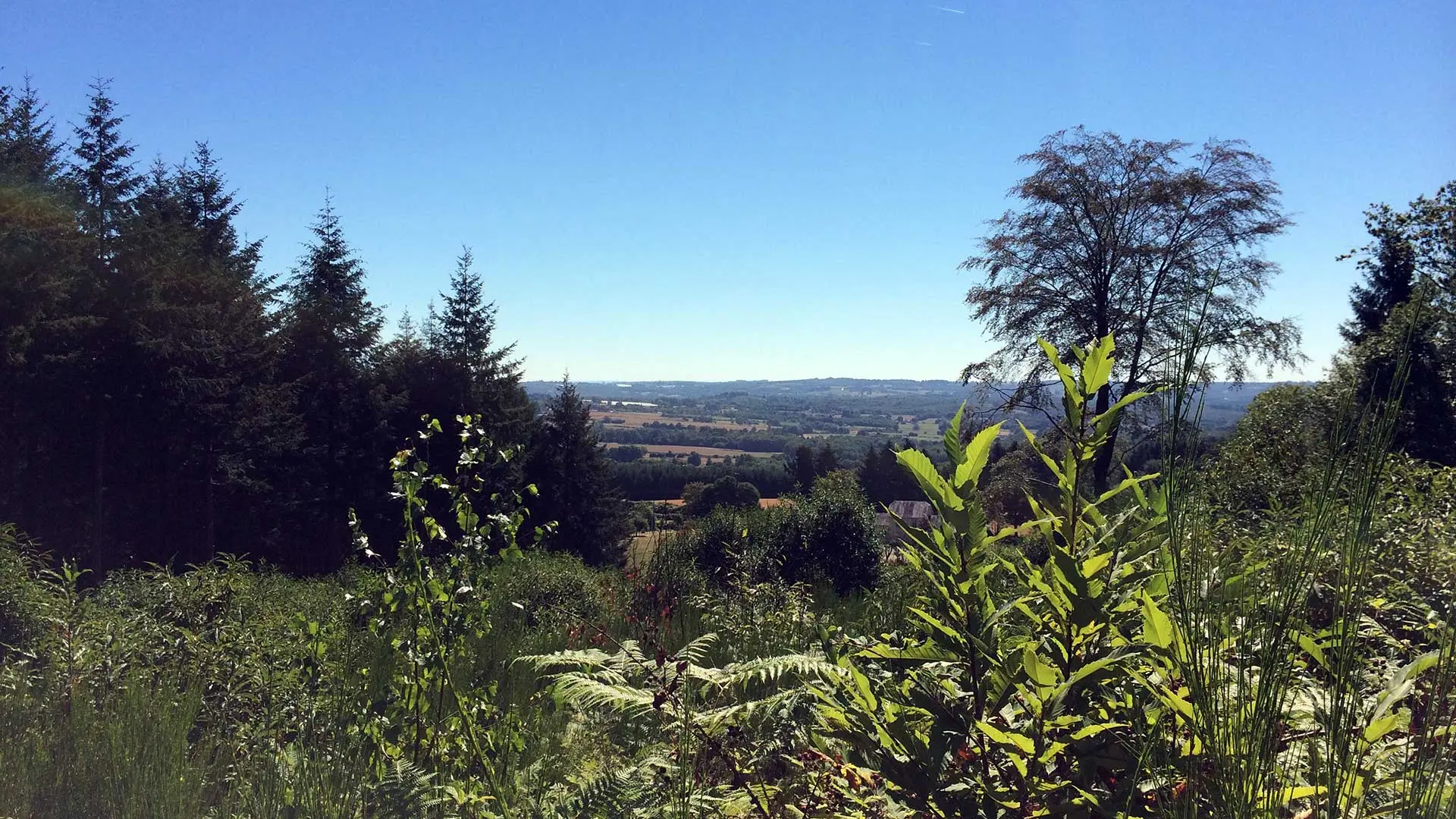 Sentier des Demoiselles BUSSIERE GALANT Haute-Vienne_10