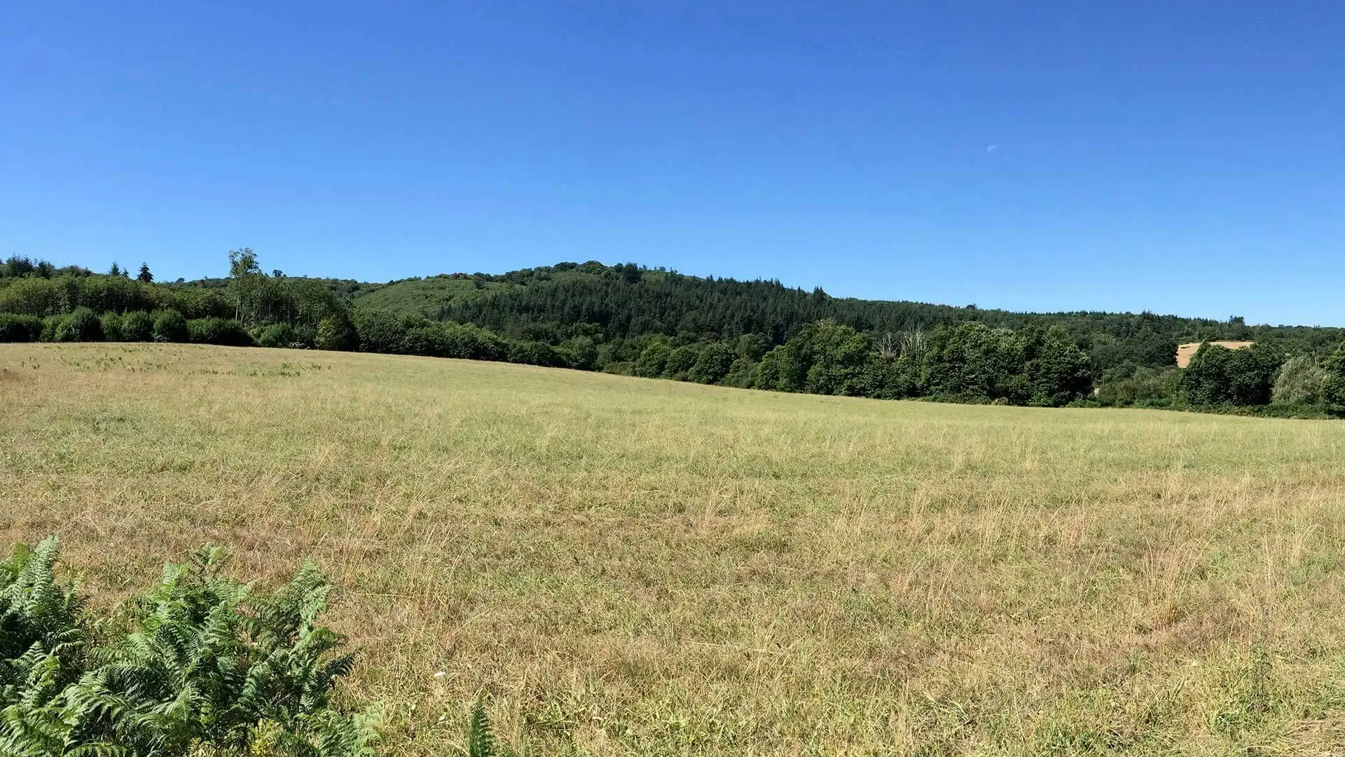 Sentier des Demoiselles BUSSIERE GALANT Haute-Vienne_7