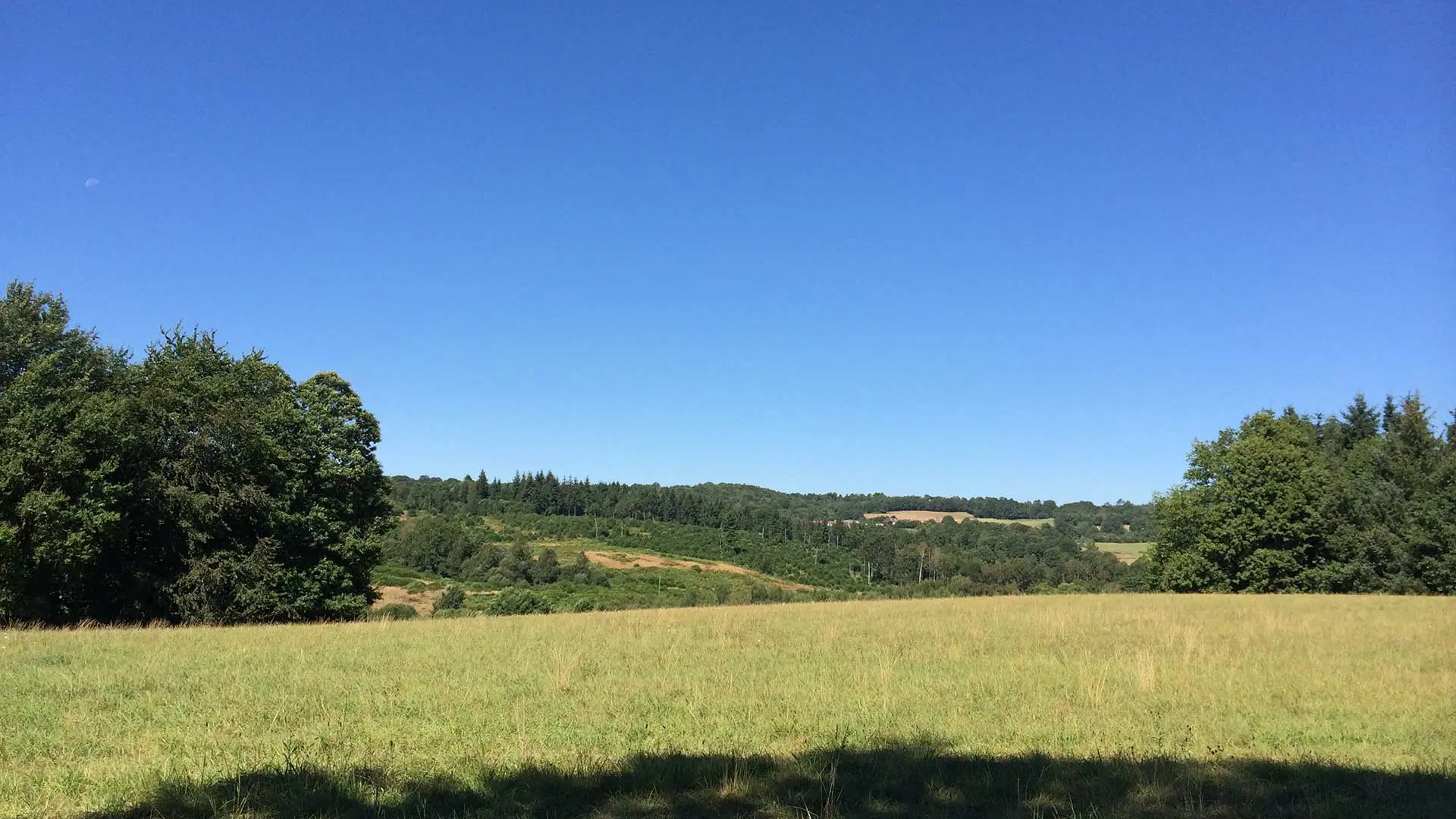 Sentier des Demoiselles BUSSIERE GALANT Haute-Vienne_4