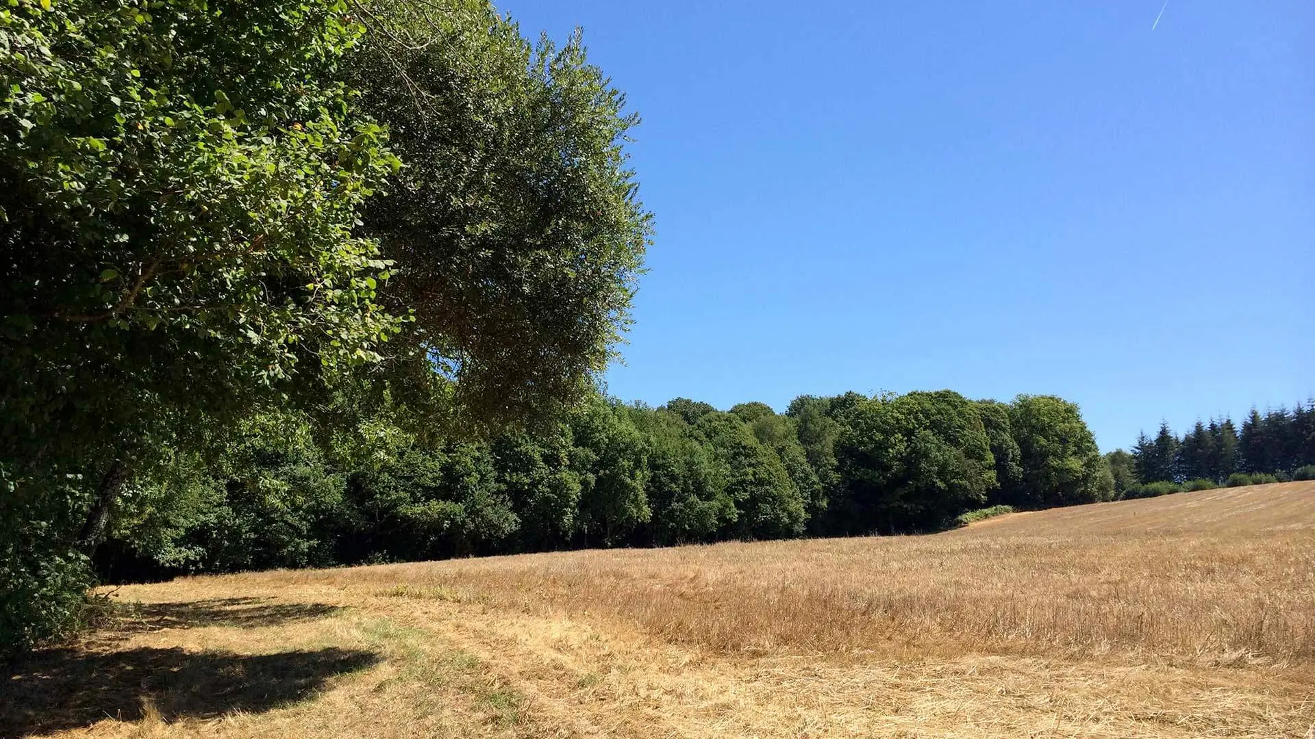 Sentier des Demoiselles BUSSIERE GALANT Haute-Vienne_8