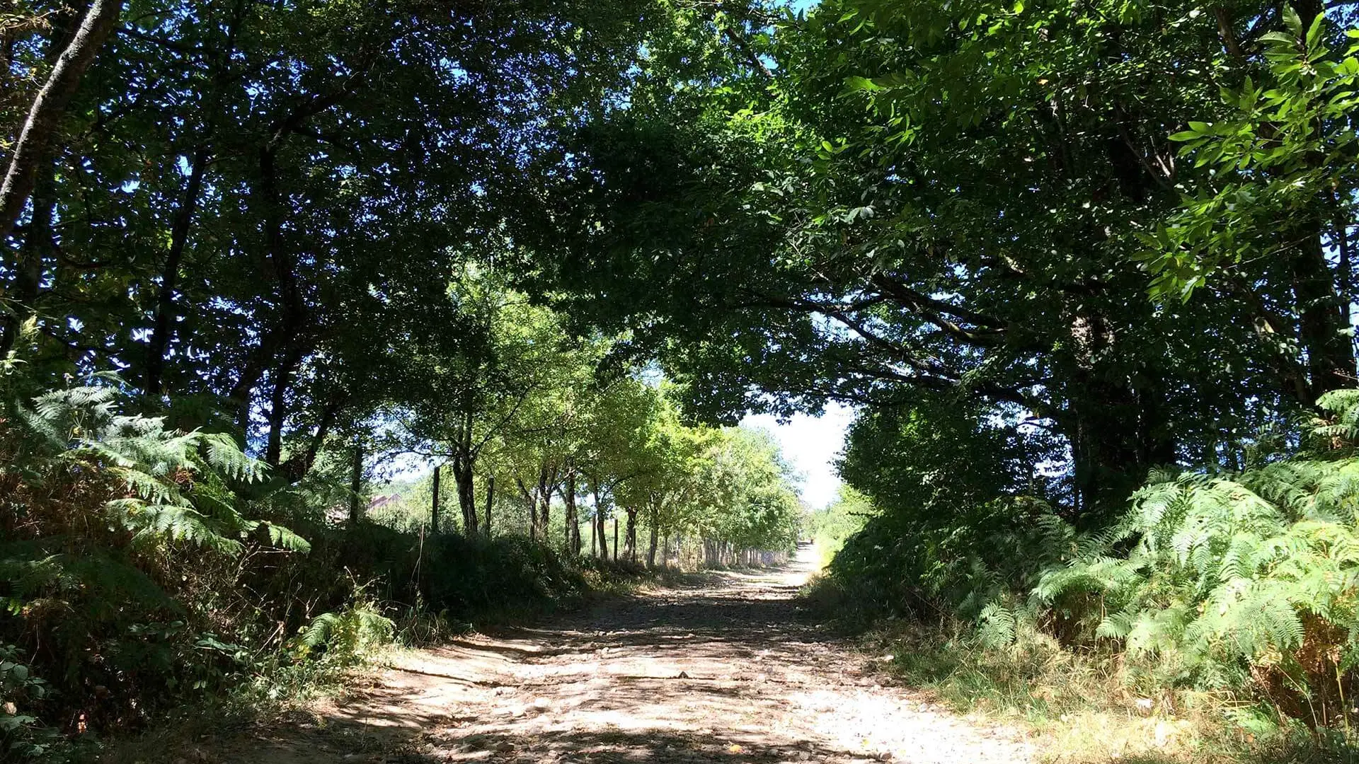 Sentier des Demoiselles BUSSIERE GALANT Haute-Vienne_14