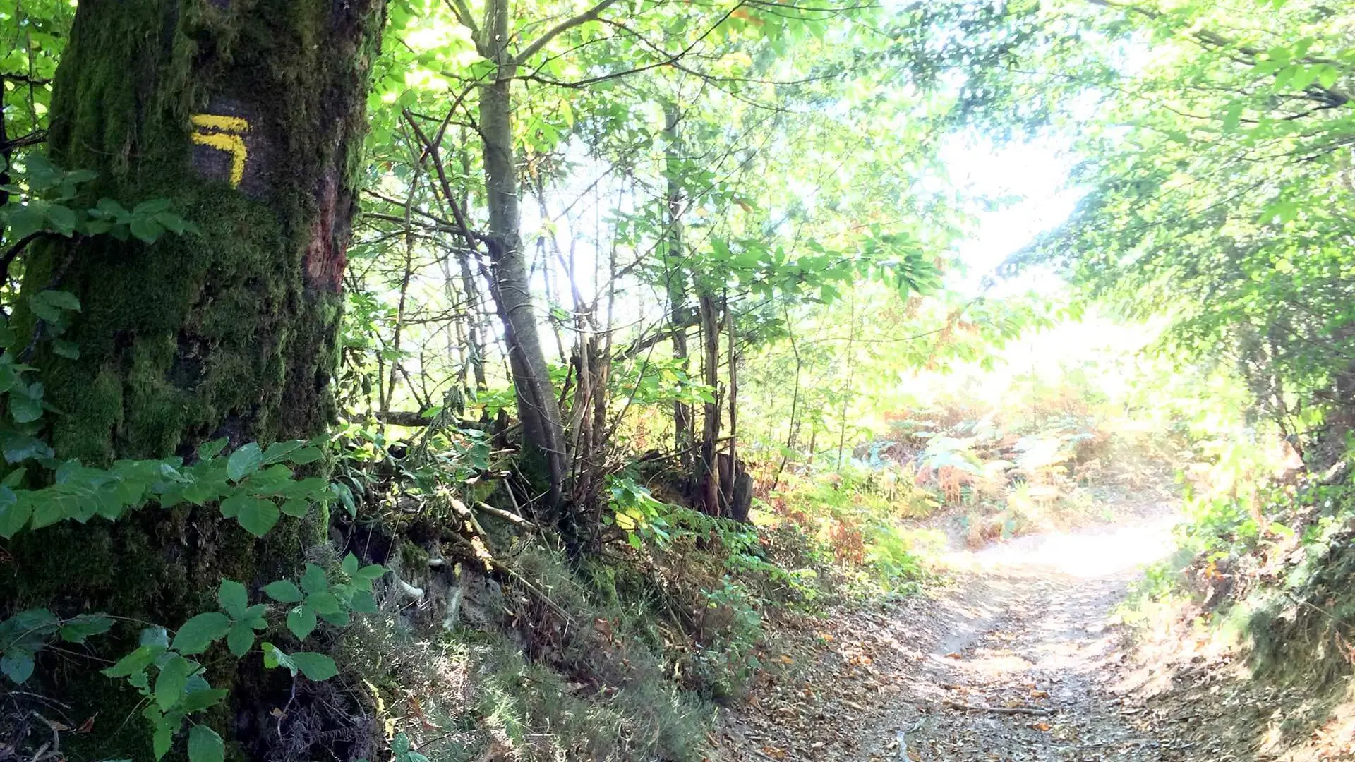 Sentier des Demoiselles BUSSIERE GALANT Haute-Vienne_2