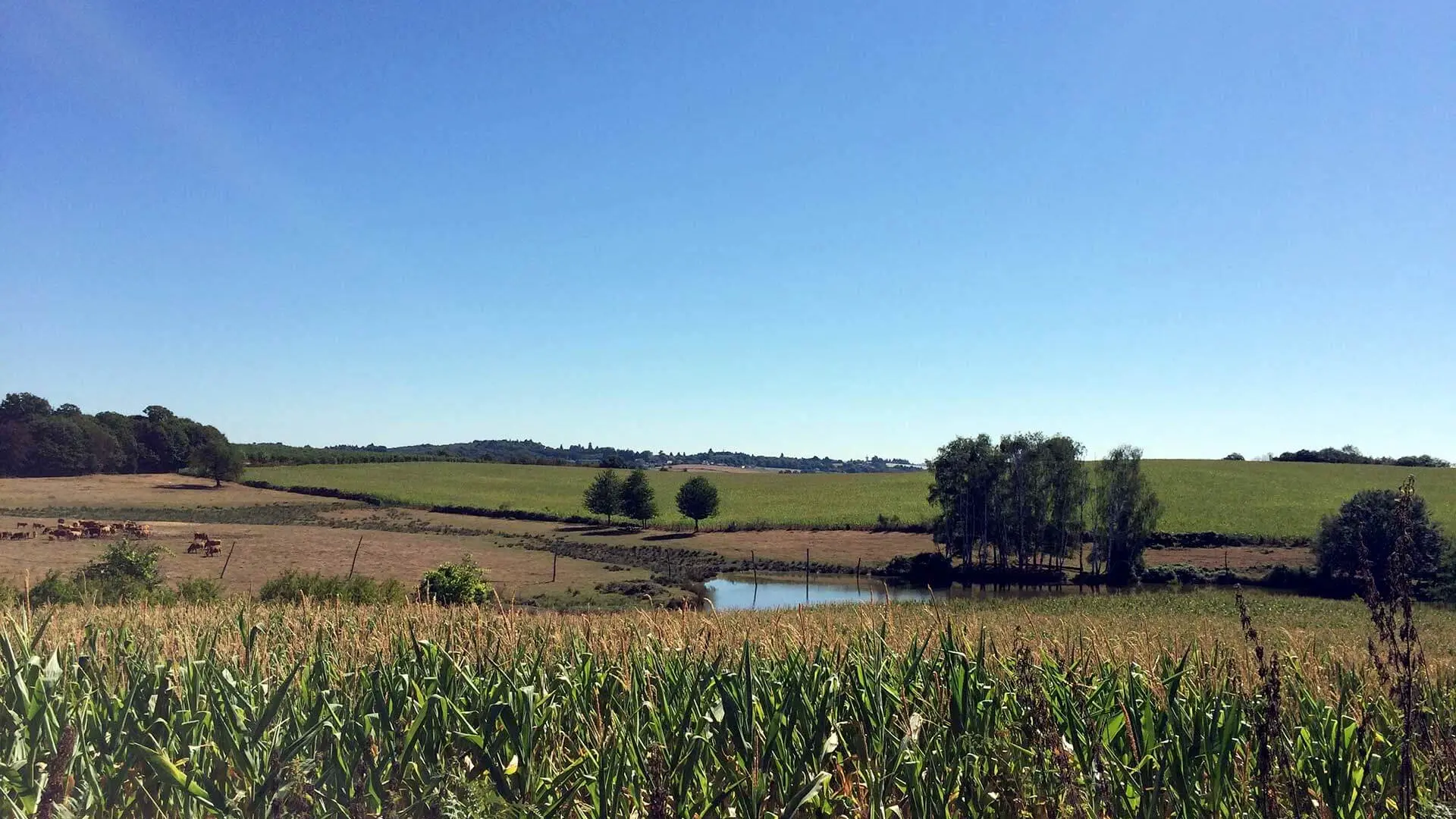 Sentier des Demoiselles BUSSIERE GALANT Haute-Vienne_12