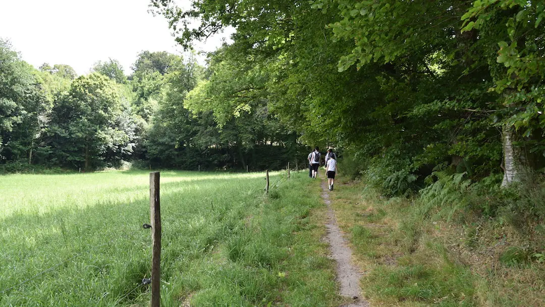 Sentier des étangs_3