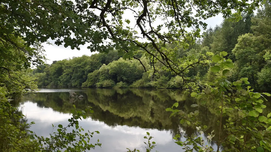 Sentier des étangs à Saint-Gence_4