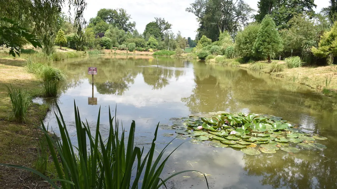 Sentier des étangs à Saint-Gence_5