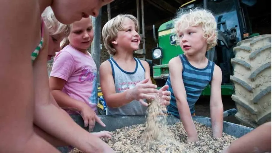 Camping à la ferme du Domaine de Royères_1