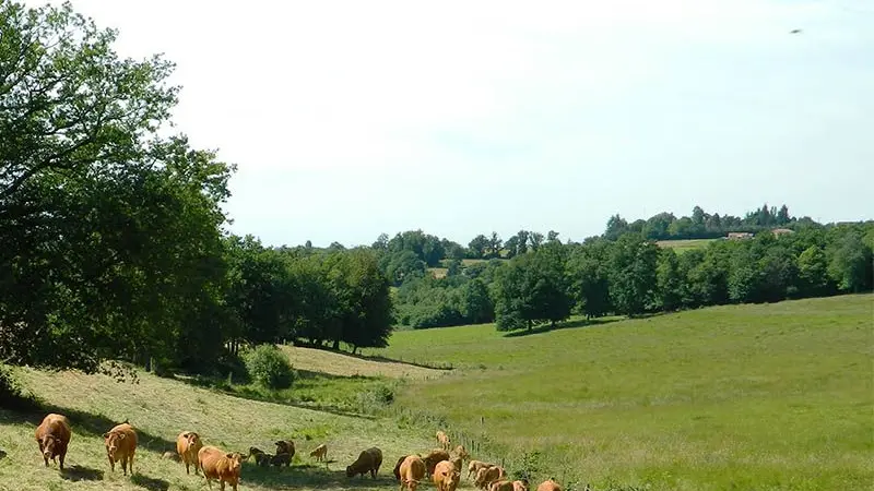 Chemin des écoliers_3