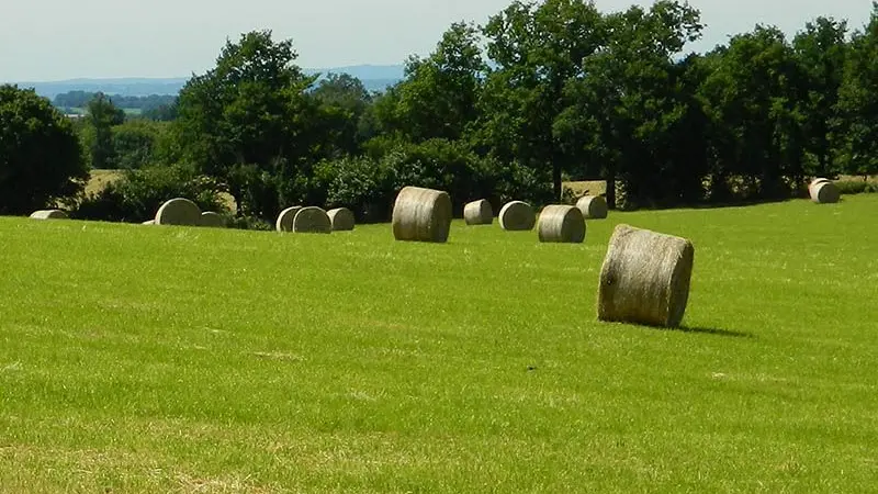 Chemin des écoliers_4