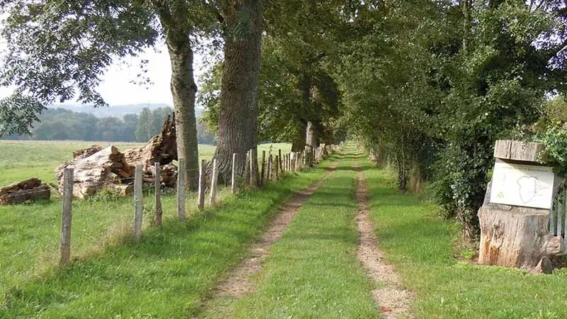 Chemin des écoliers_5