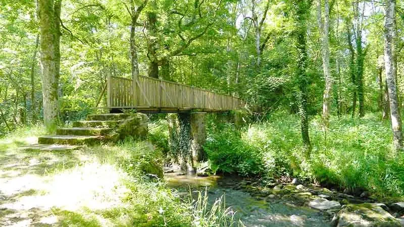 Histoire et Nature_1