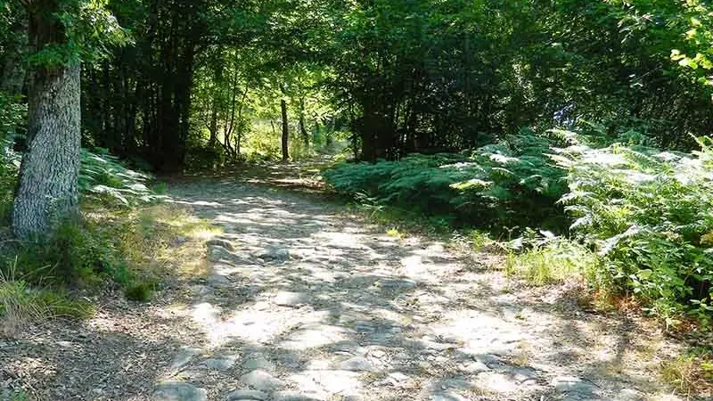 Histoire et Nature_2