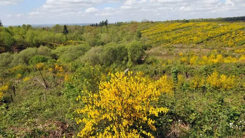 Circuit des étangs_2