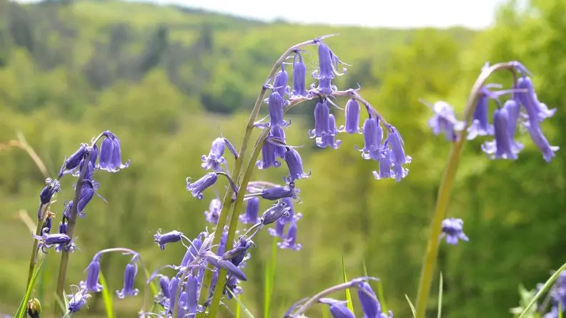 Circuit des étangs_3