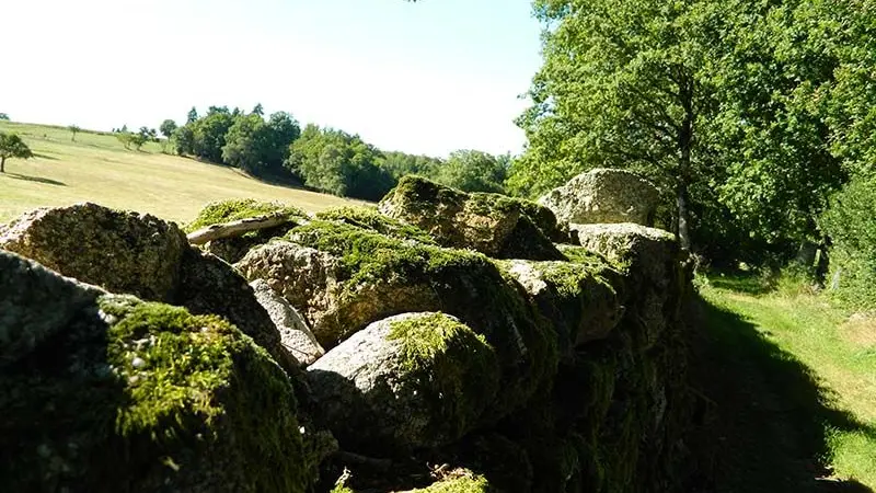 Entre coteaux et vallées_2