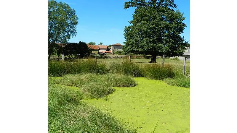 Entre coteaux et vallées_3