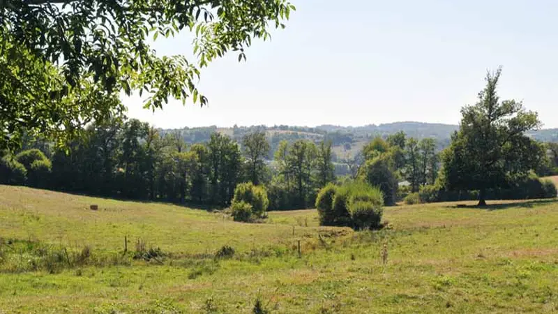 Sentier de Gascour_3