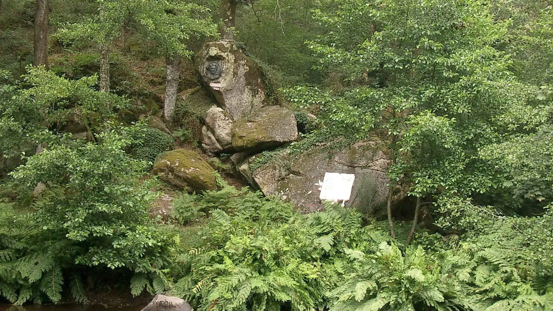 Sentier chez le Geai_3