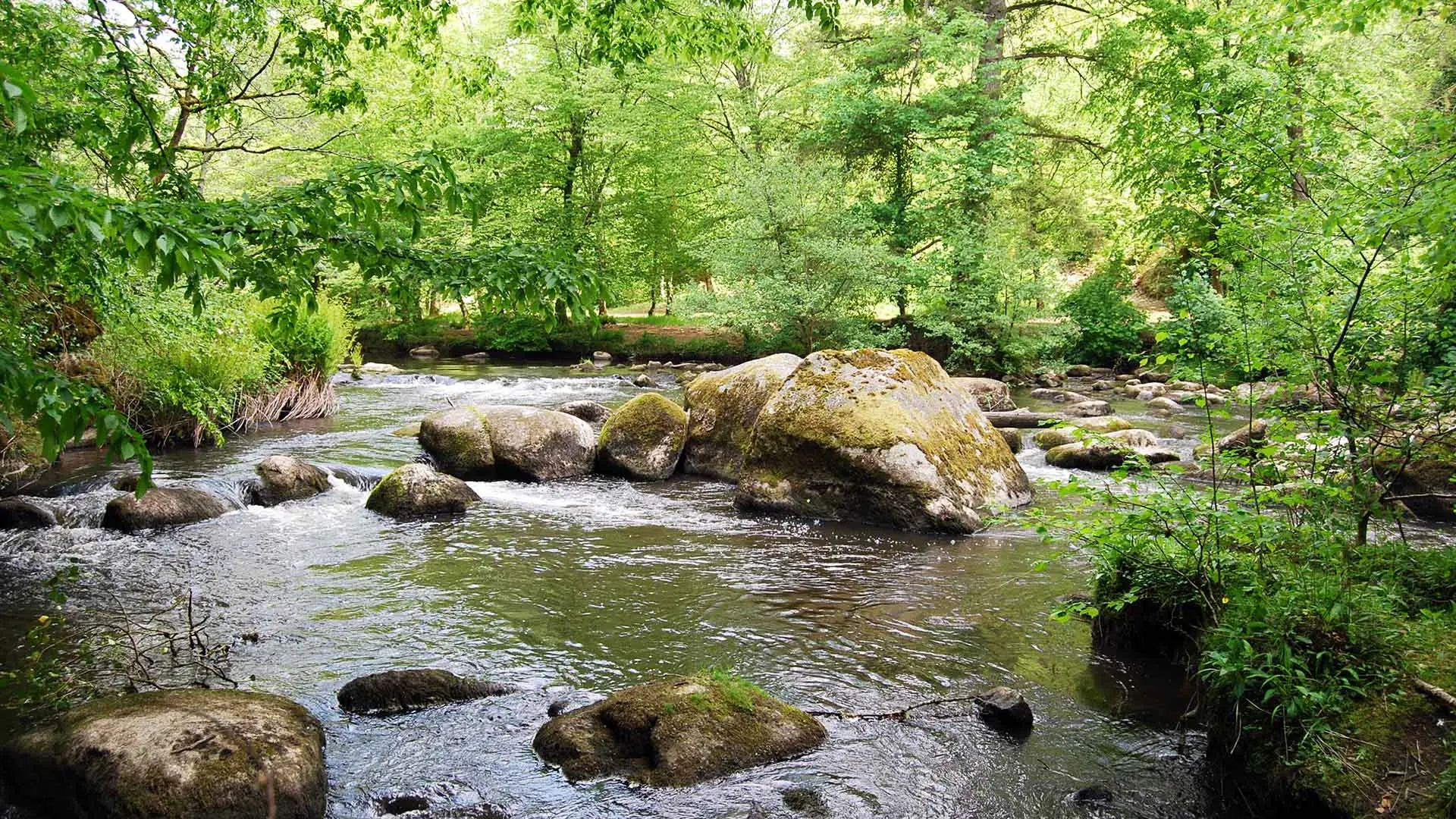 Sentier les Aubespins_5