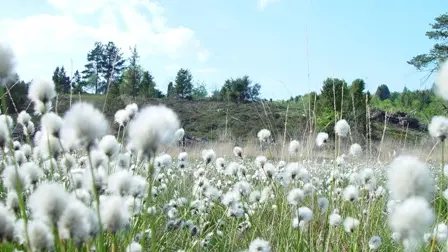 Chemin des kaoliniers_5