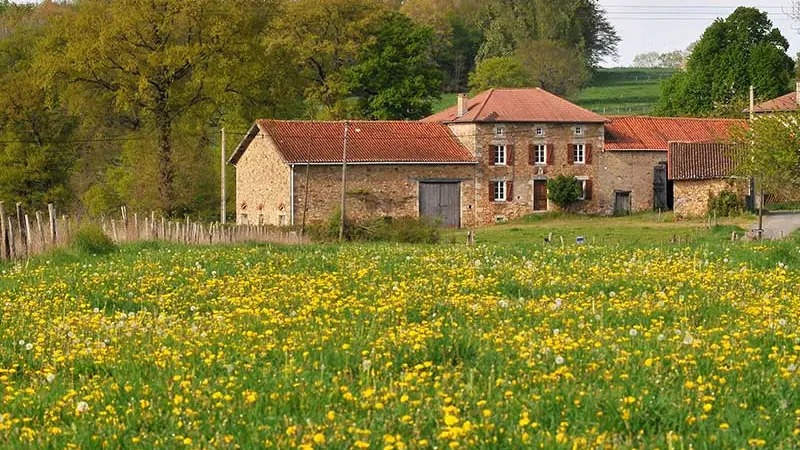 Sentier de l'aubépine_2