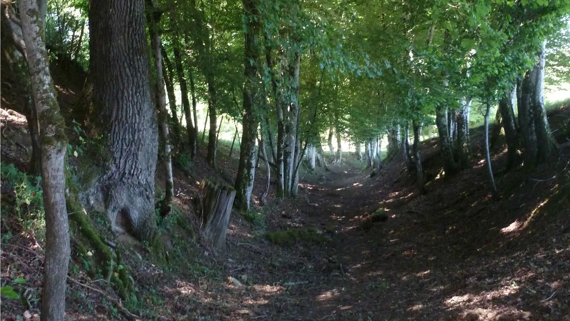 Les sentiers de Meilhac_1