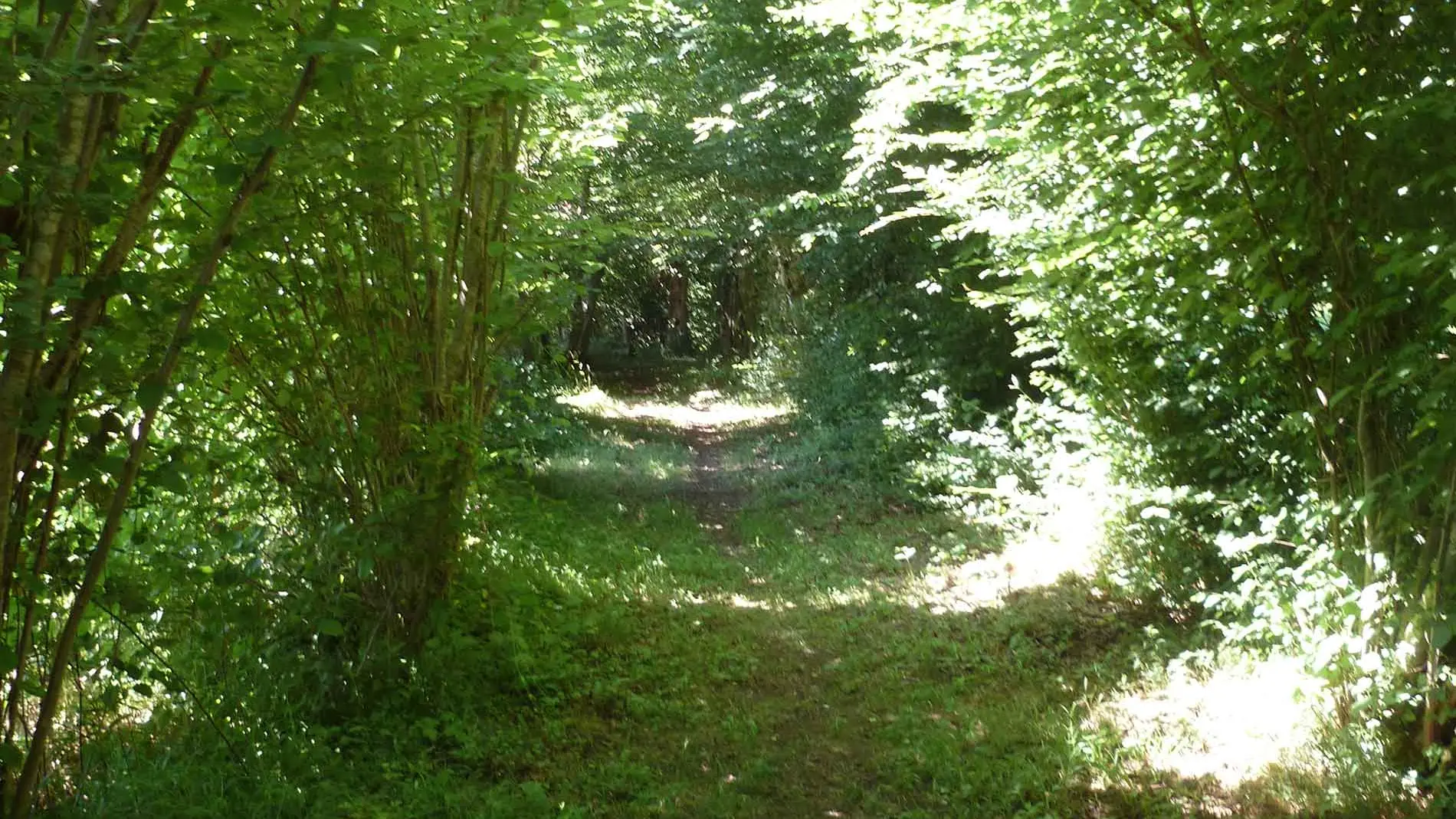 Les sentiers de Meilhac_4