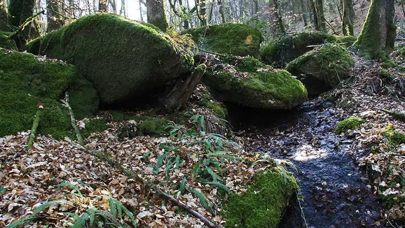 Compreignac Le tour de bourg_2