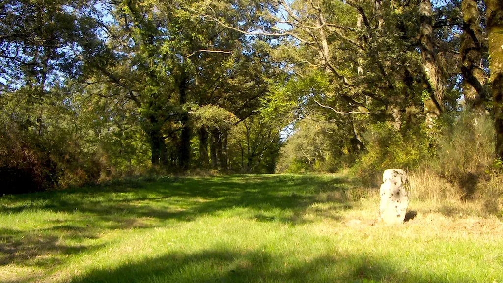 Circuit du Prince Noir_1