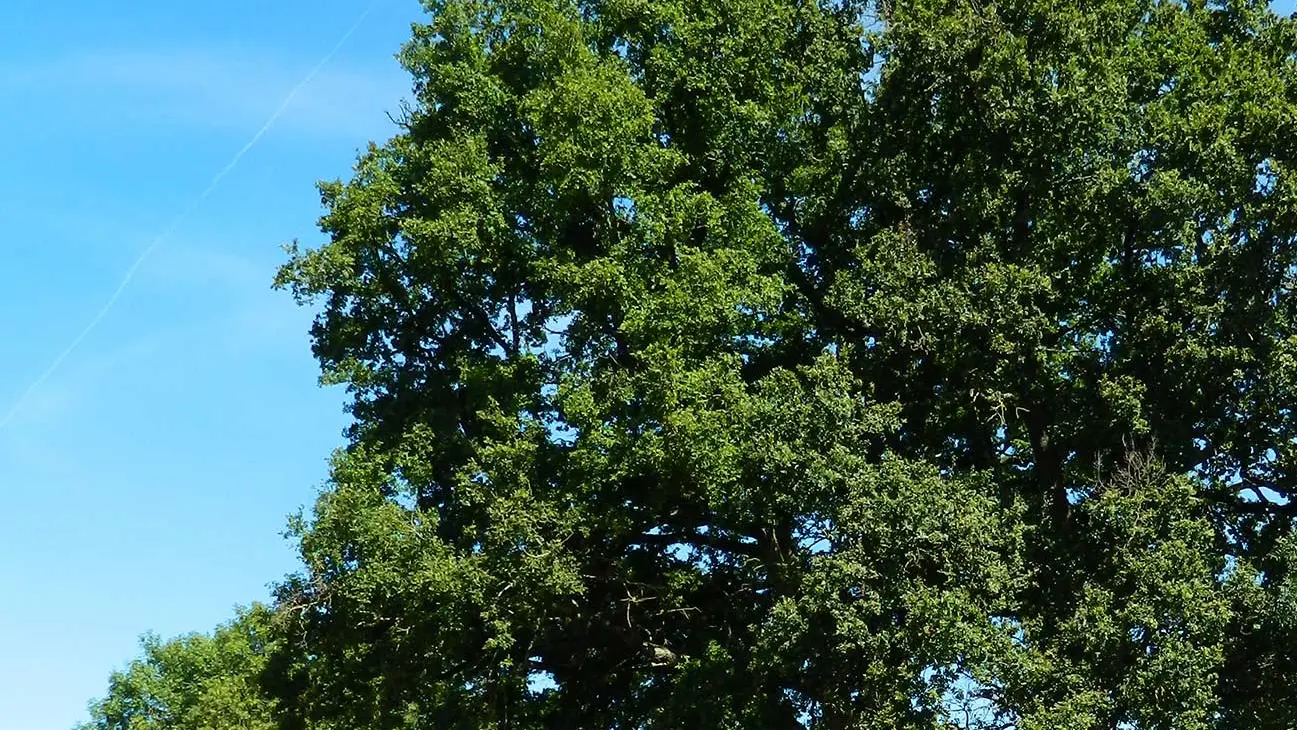 Circuit du Prince Noir_2