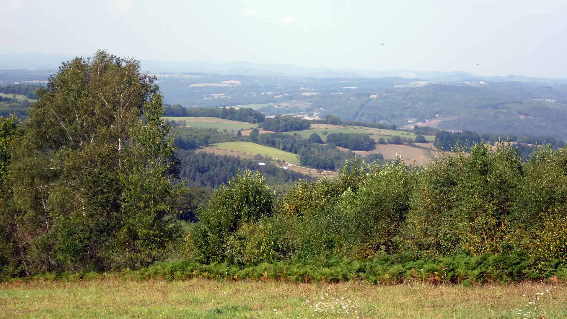 Chemin de Sussac au Mont Gargan_2