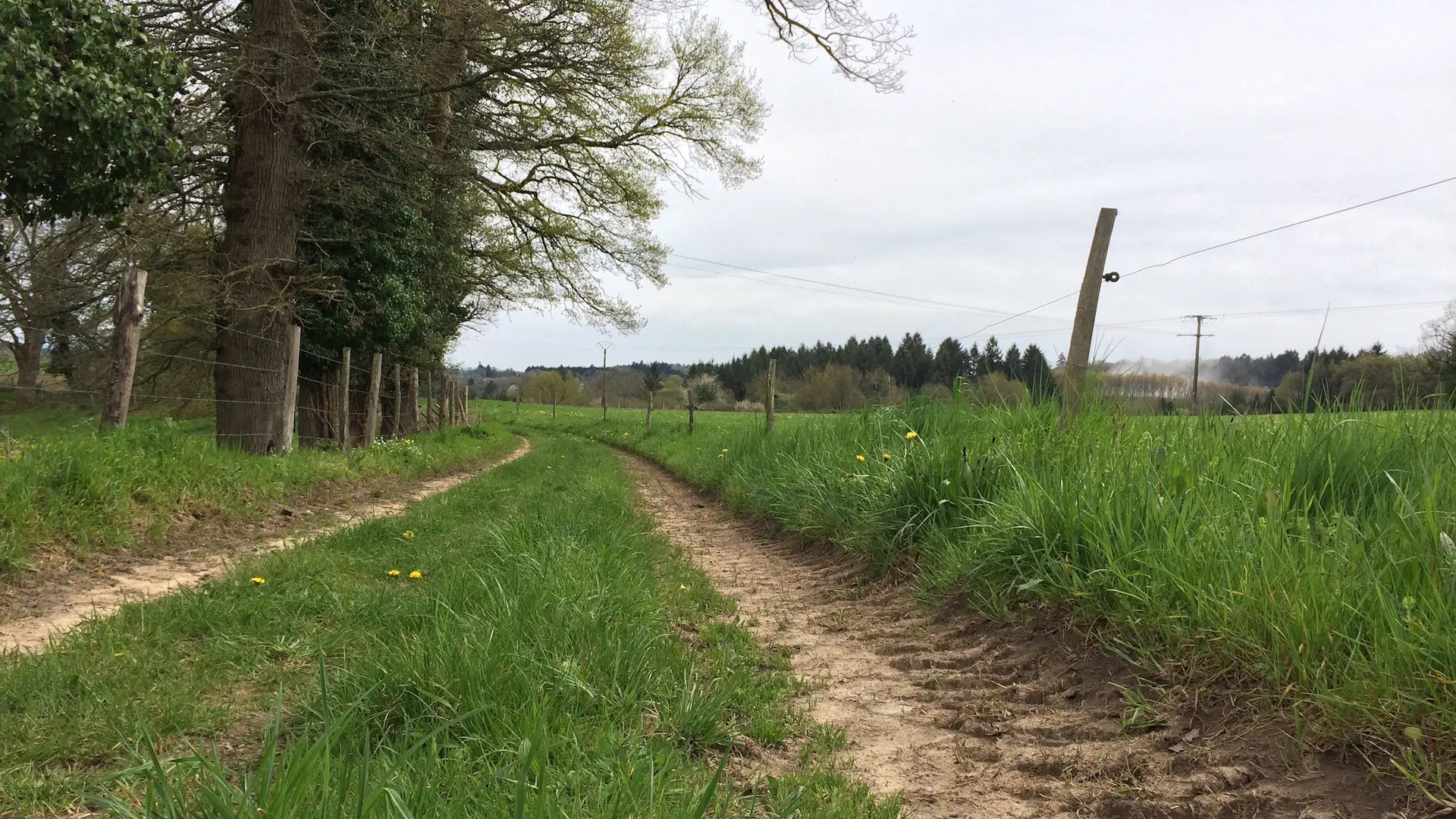 Circuit des clochers et des étangs_11