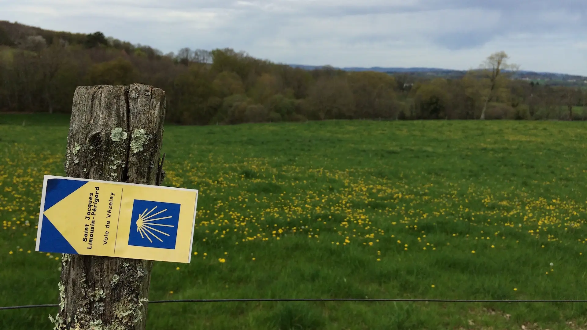 Circuit des clochers et des étangs_12
