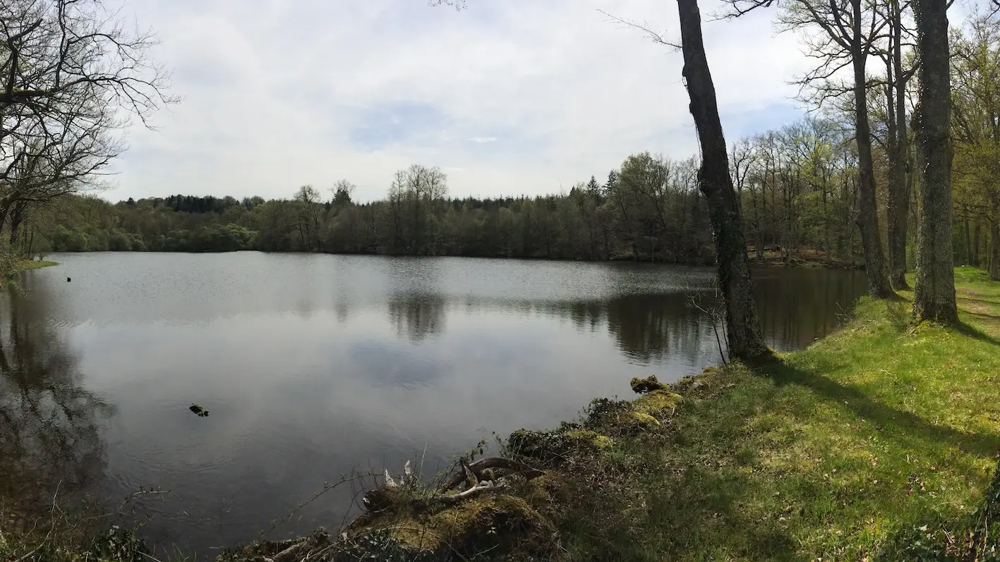 Circuit des clochers et des étangs_7