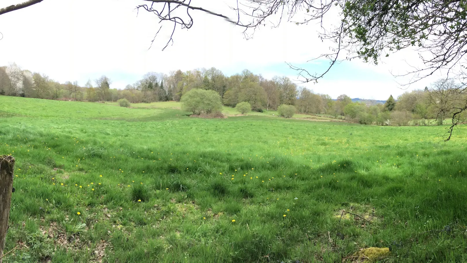 Circuit des clochers et des étangs_13