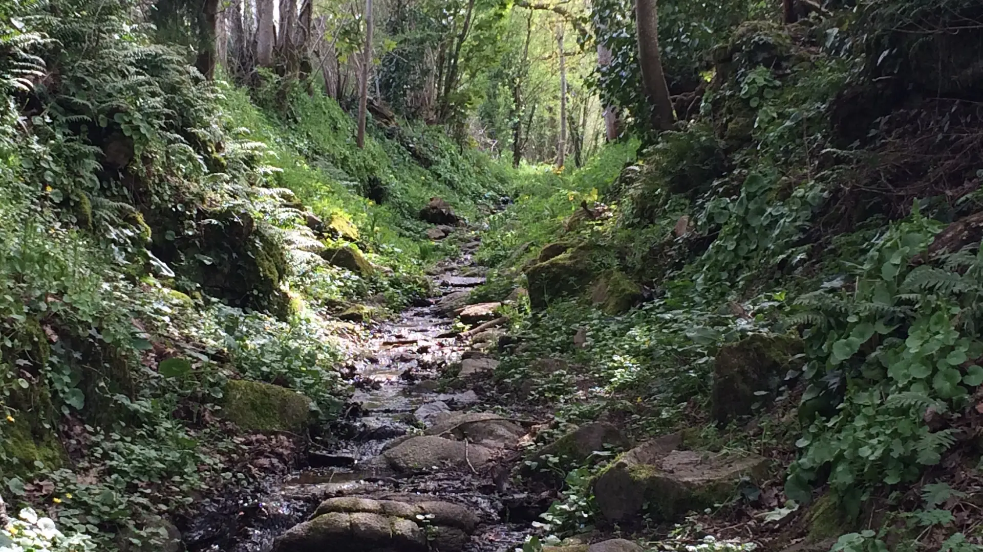 Circuit des clochers et des étangs_14