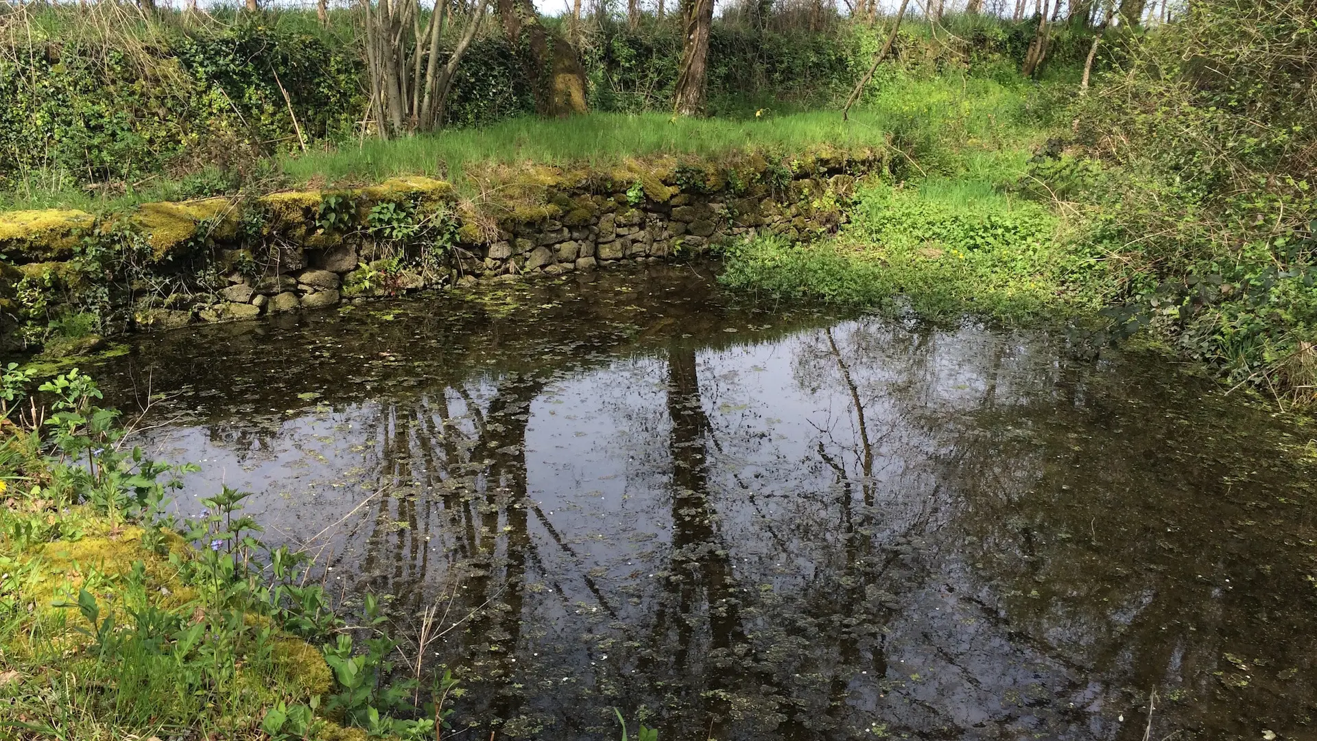 Circuit des clochers et des étangs_15