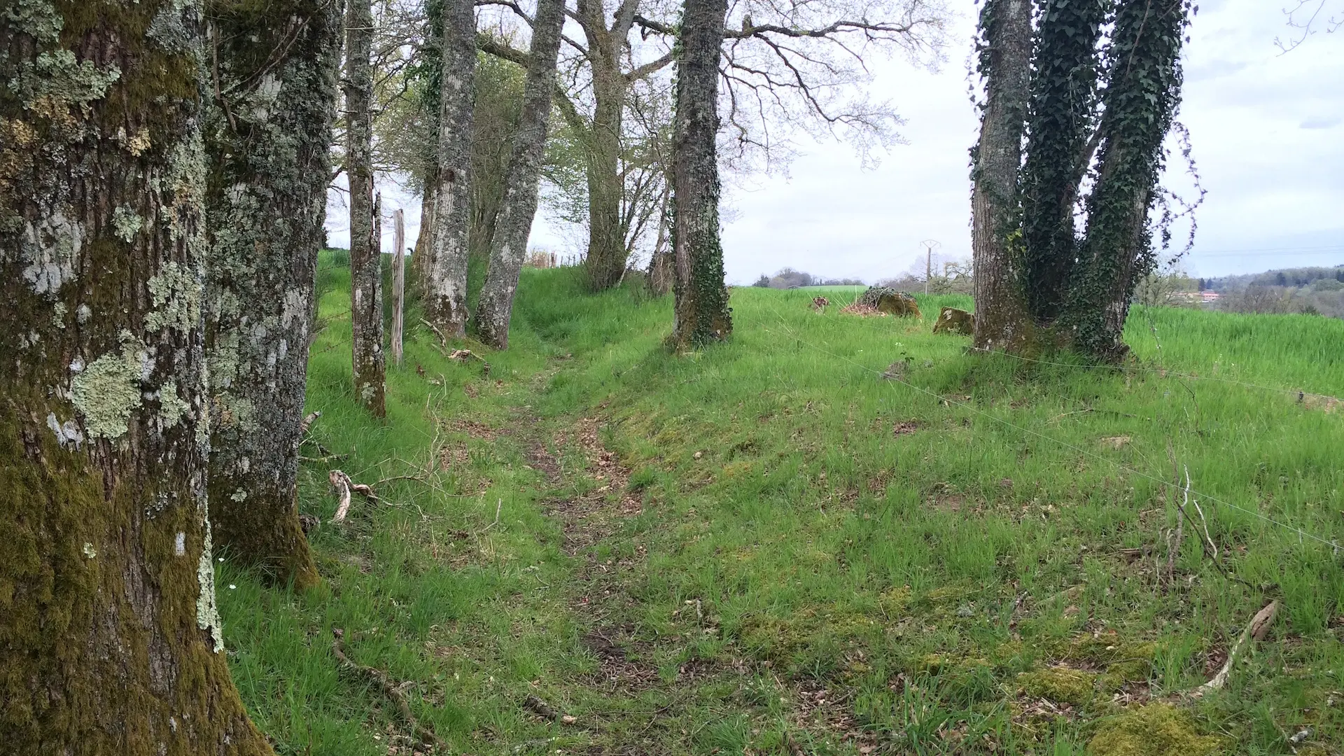 Circuit des clochers et des étangs_16