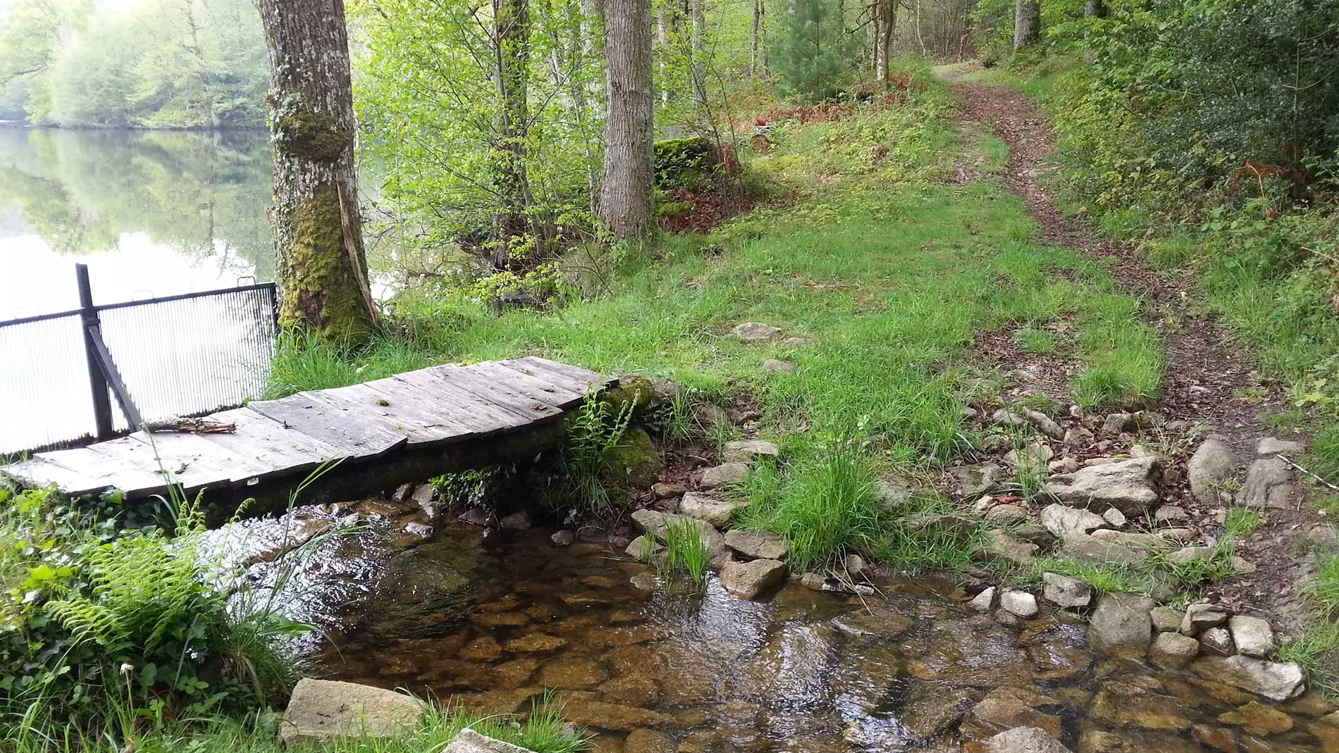 Circuit des clochers et des étangs_8