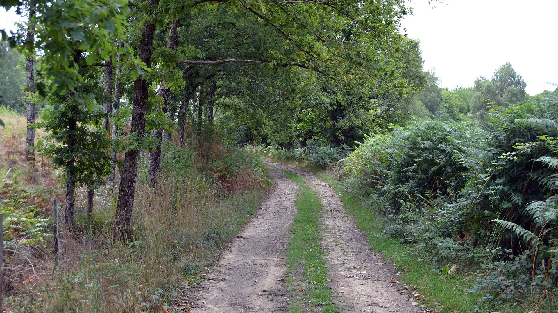 Sur les pas d'Henri de Navarre_3