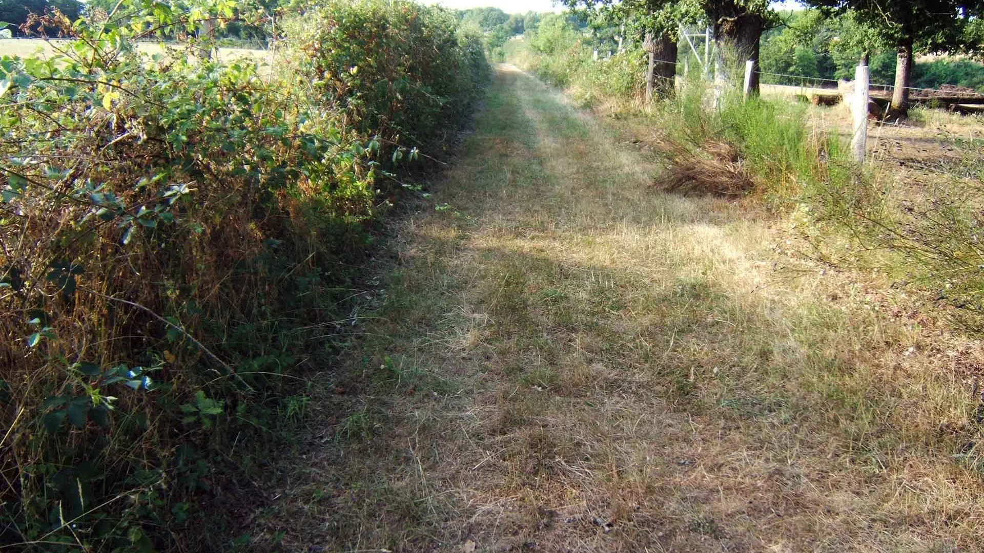 Chemin des deux moulins_3